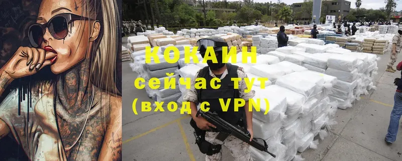 дарк нет формула  Менделеевск  Cocaine FishScale  купить закладку 